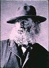 Walt Whitman Picture